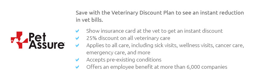 Cat Insurance For Existing Conditions Feb 2025 cat-insurance-for-existing-conditions-feb-2025